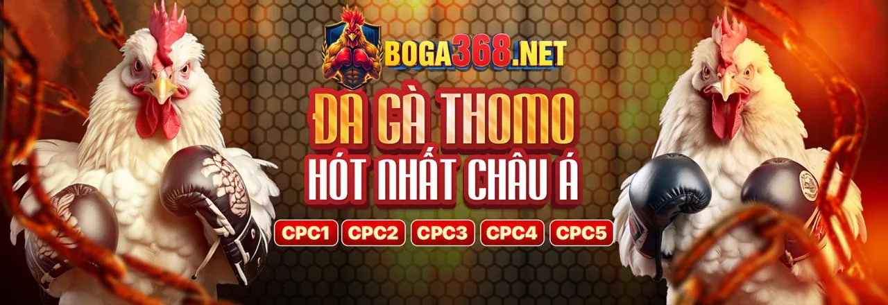 Sân đá gà trực tuyến hm88 game bài với những trận đấu kịch tính
